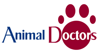 Animal Doctors - Surry Hills Vet - Waverley Vet - Vets Pets Want To See