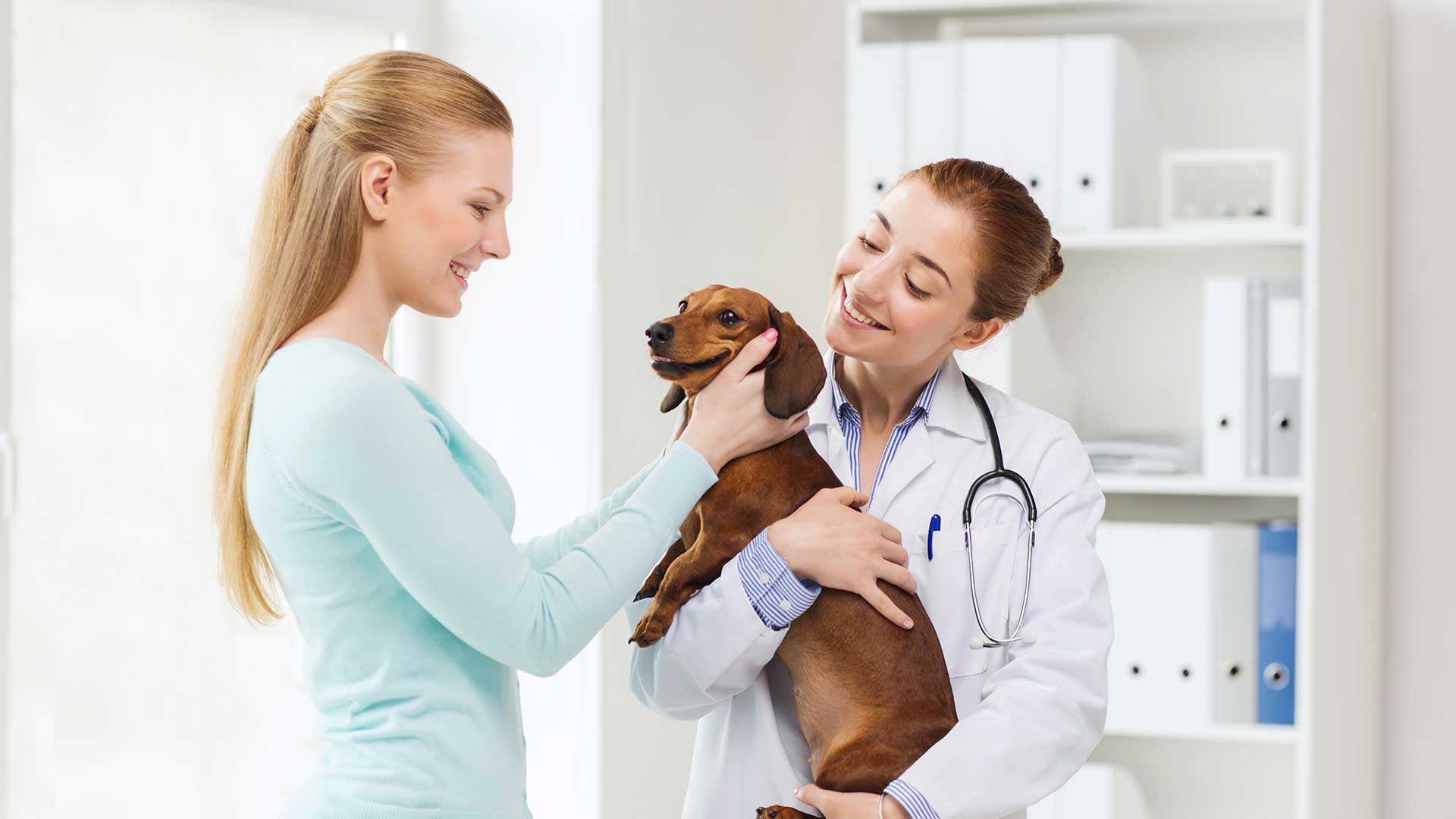 Basic Health Check - Animal Doctors
